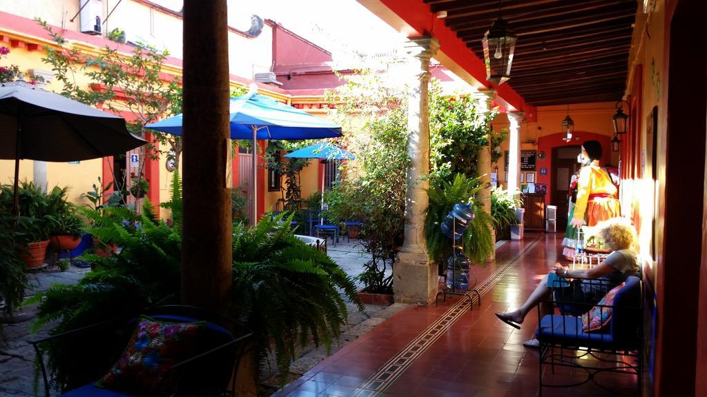 Hotel Posada Del Centro Oaxaca Extérieur photo